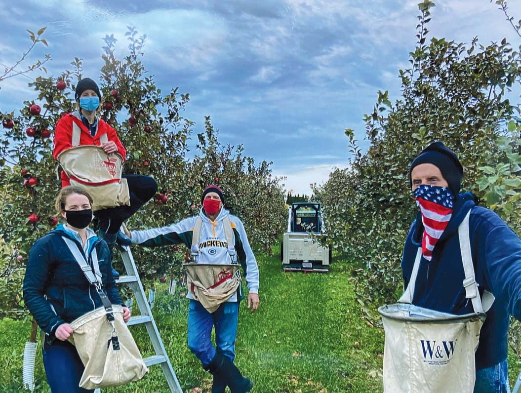 Properly safeguarded against Covid, some of the Research Station crew apple picking, from left, Becky Wiepz, Josie Kielar, Dan Kielar and George Nooyan. Contributed photo.