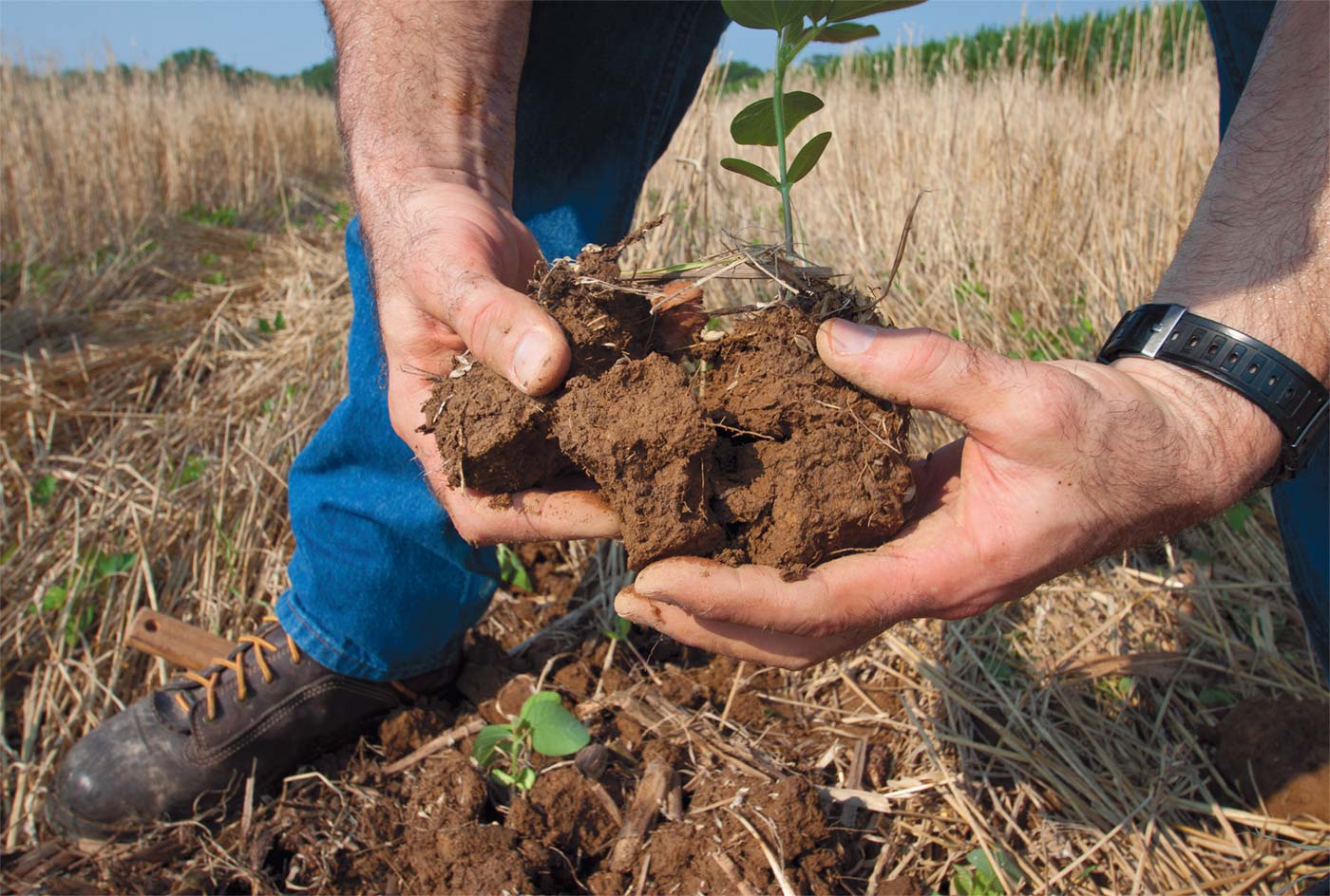 It’s all about the soil as USDA Natural Resources Conservation Service employee does an inspection. USDA photos